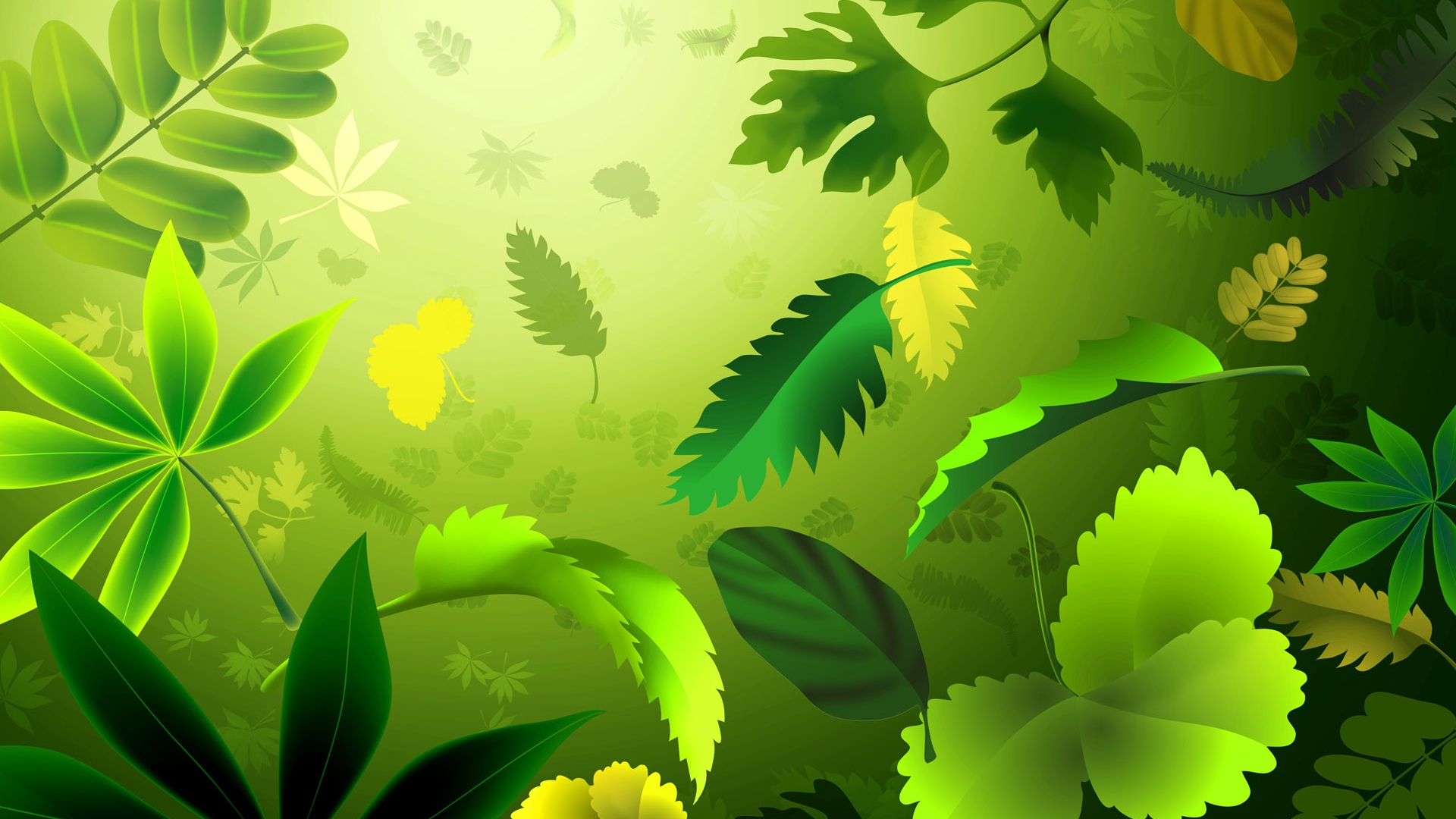 conception de papier peint vert,vert,feuille,la nature,plante,arbre
