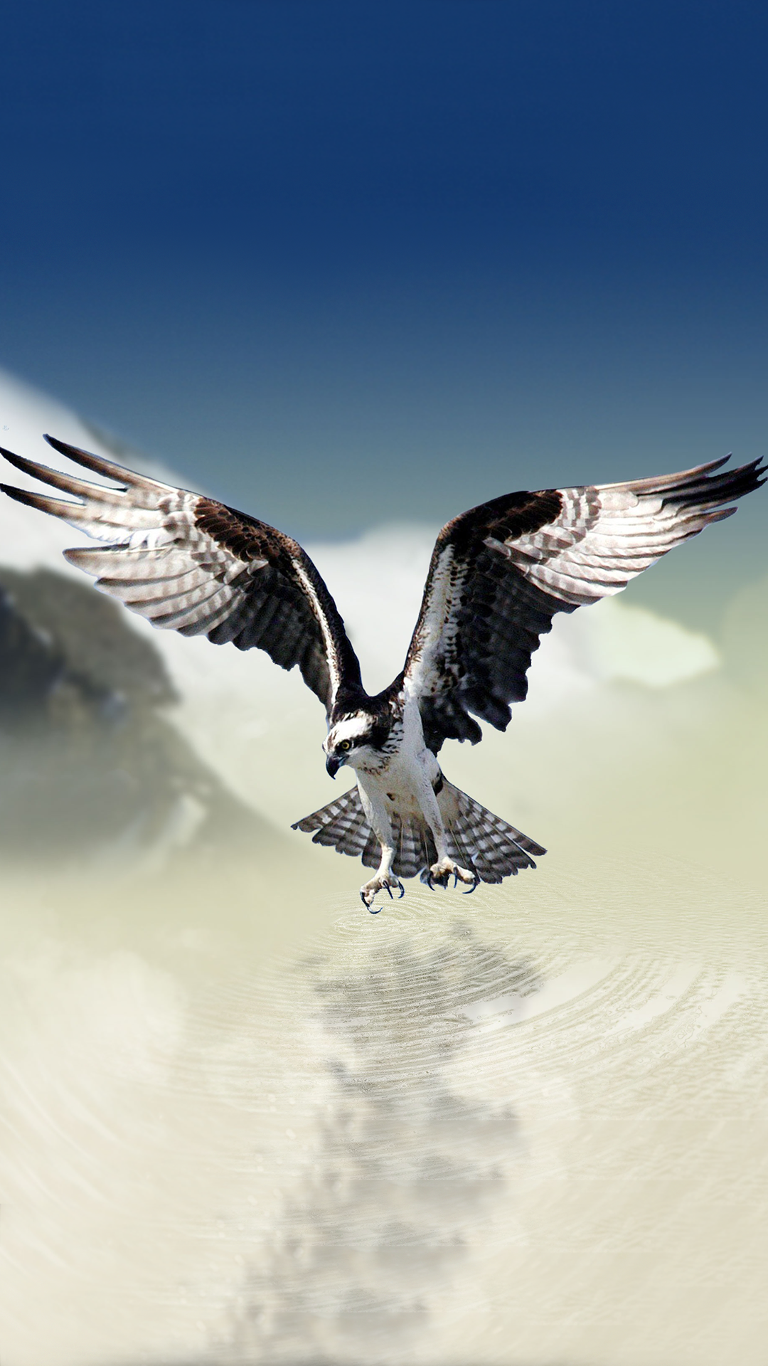 ultra hd phone wallpapers,bird,bird of prey,eagle,golden eagle,accipitriformes