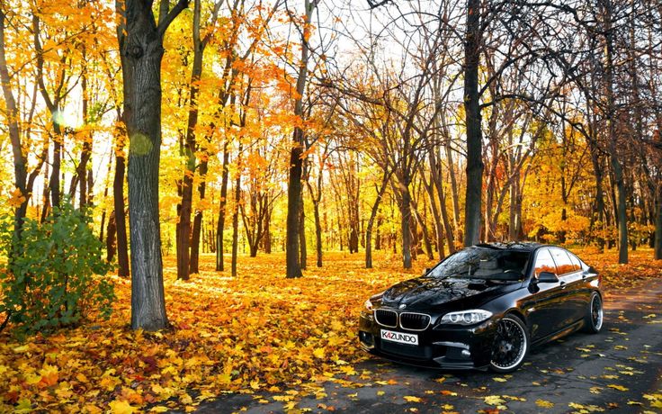 poze wallpaper hd,land vehicle,vehicle,car,autumn,leaf