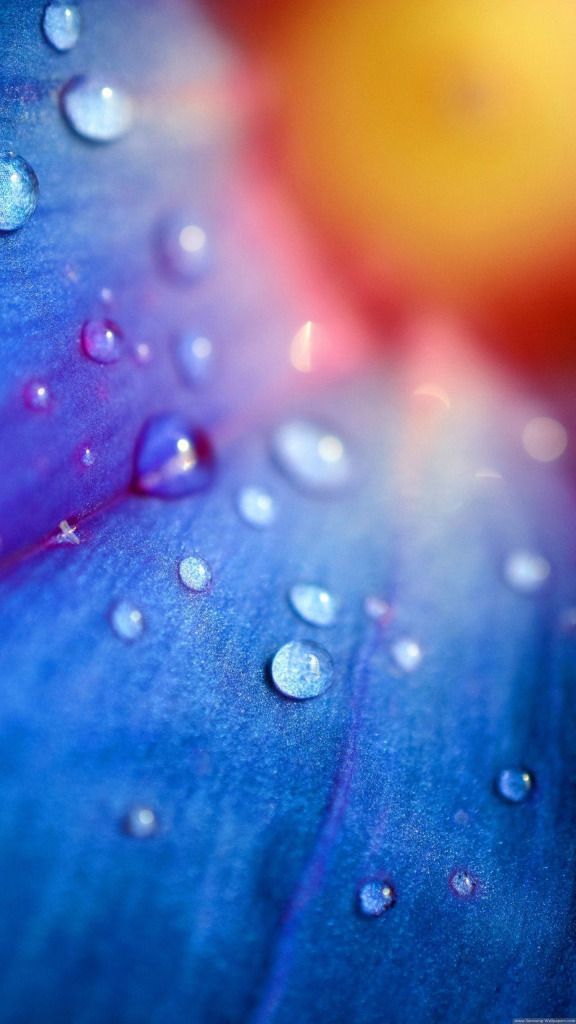 samsung wallpaper 4k,blue,water,drop,dew,moisture