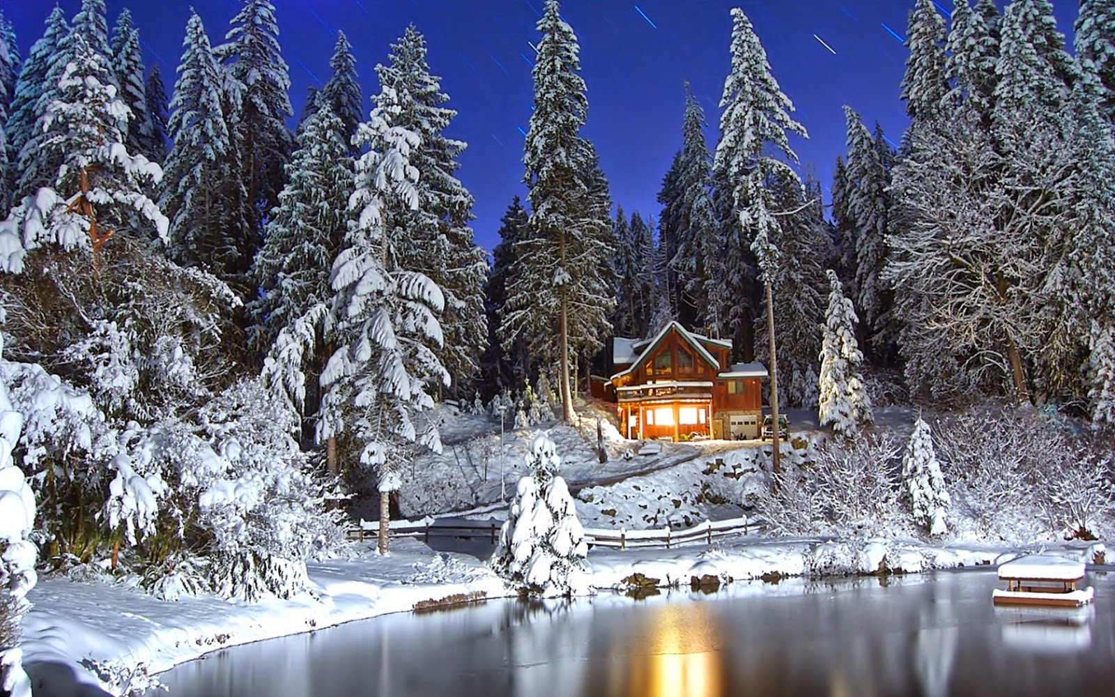 포즈 벽지 hd,눈,겨울,자연,동결,나무
