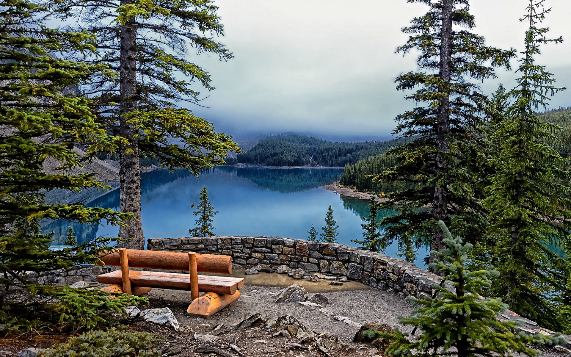 sfondi hd 4k per pc,paesaggio naturale,natura,albero,lago,montagna