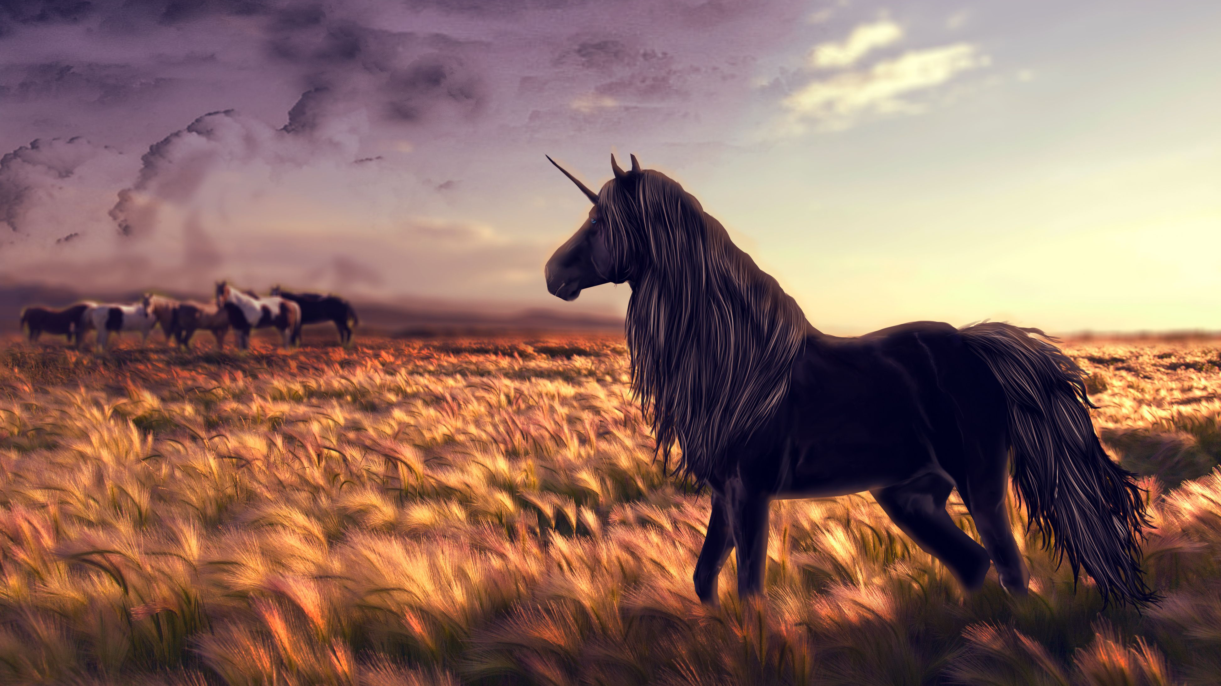 full hd pc wallpaper free download,horse,sky,mane,grassland,ecoregion