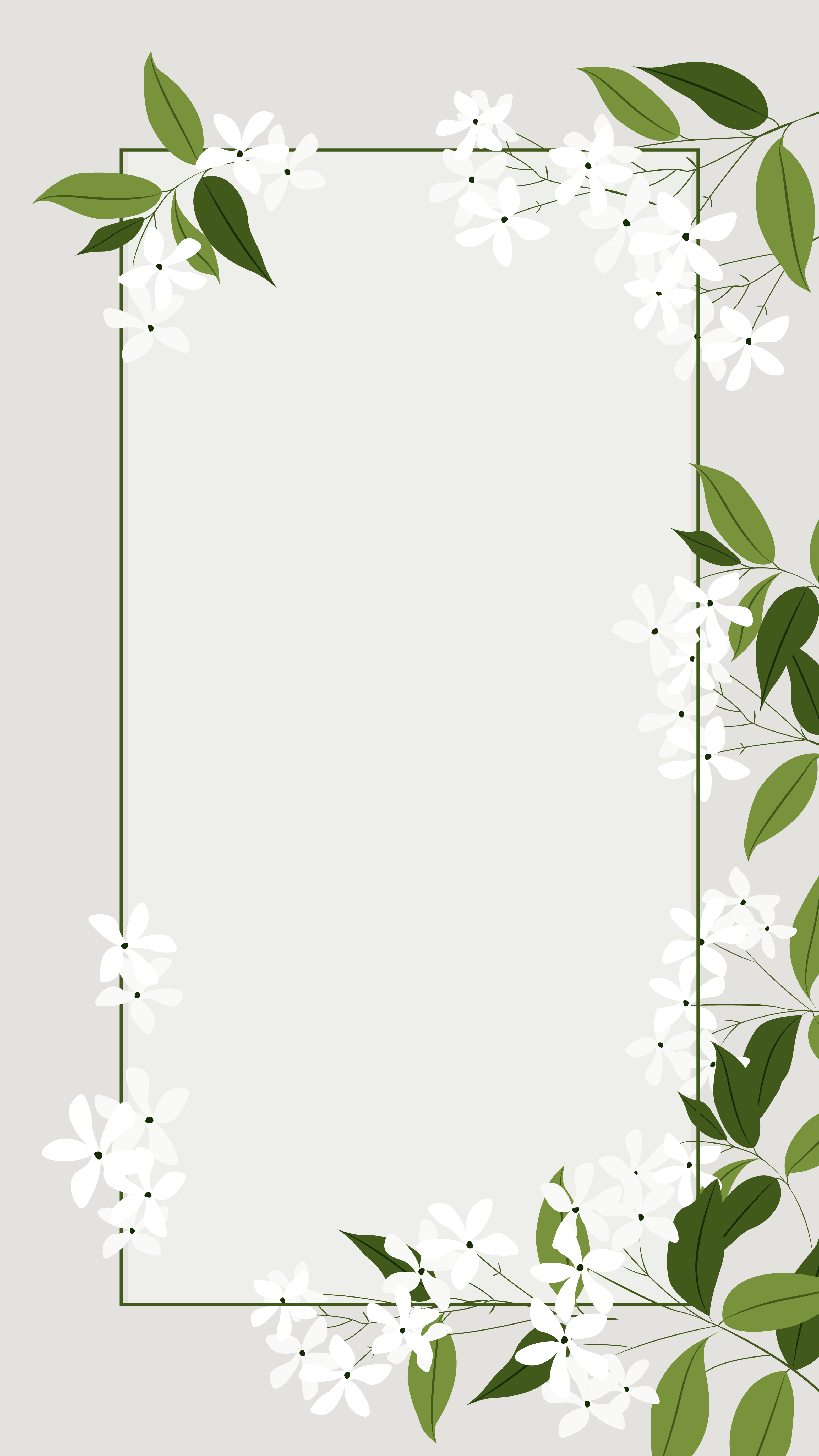 iphone wallpaper template,leaf,ivy,plant,picture frame,flower