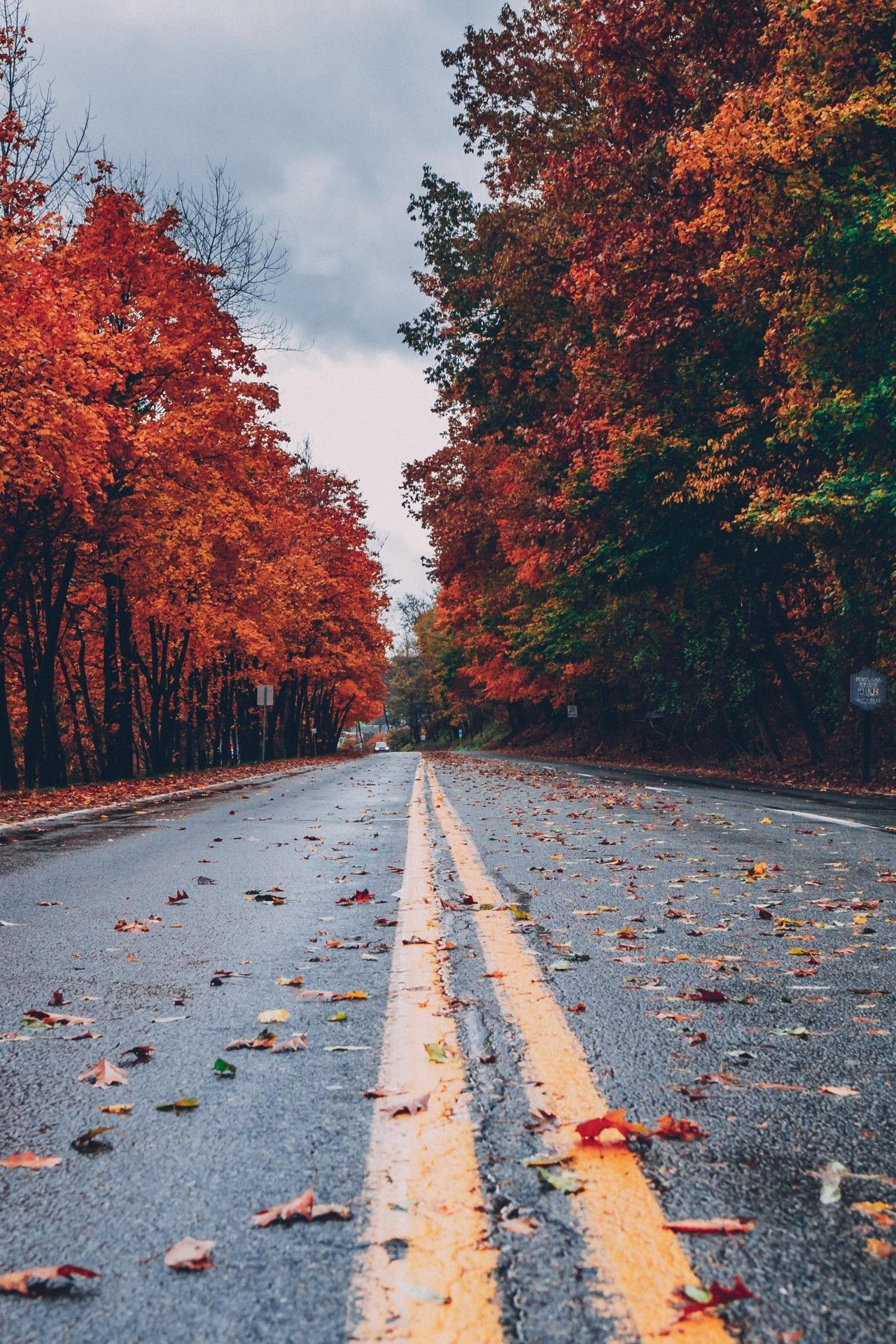 tapeten voll hd 4k para pc,baum,blatt,natürliche landschaft,herbst,straße