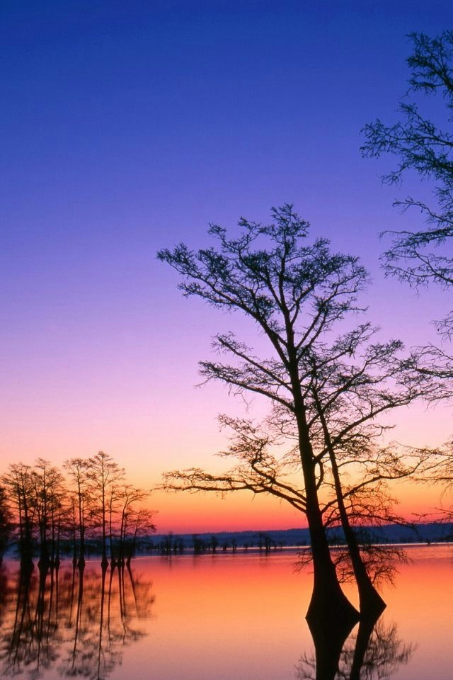 simpatici sfondi per iphone 6,cielo,paesaggio naturale,natura,riflessione,albero