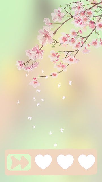iphone 6s lock screen wallpaper,pink,cherry blossom,blossom,flower,spring