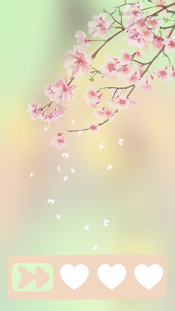 iphone 6sロック画面の壁紙,ピンク,桜の花,花,花,春