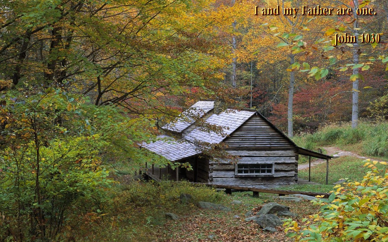 large size wallpaper,natural landscape,nature,leaf,log cabin,shack