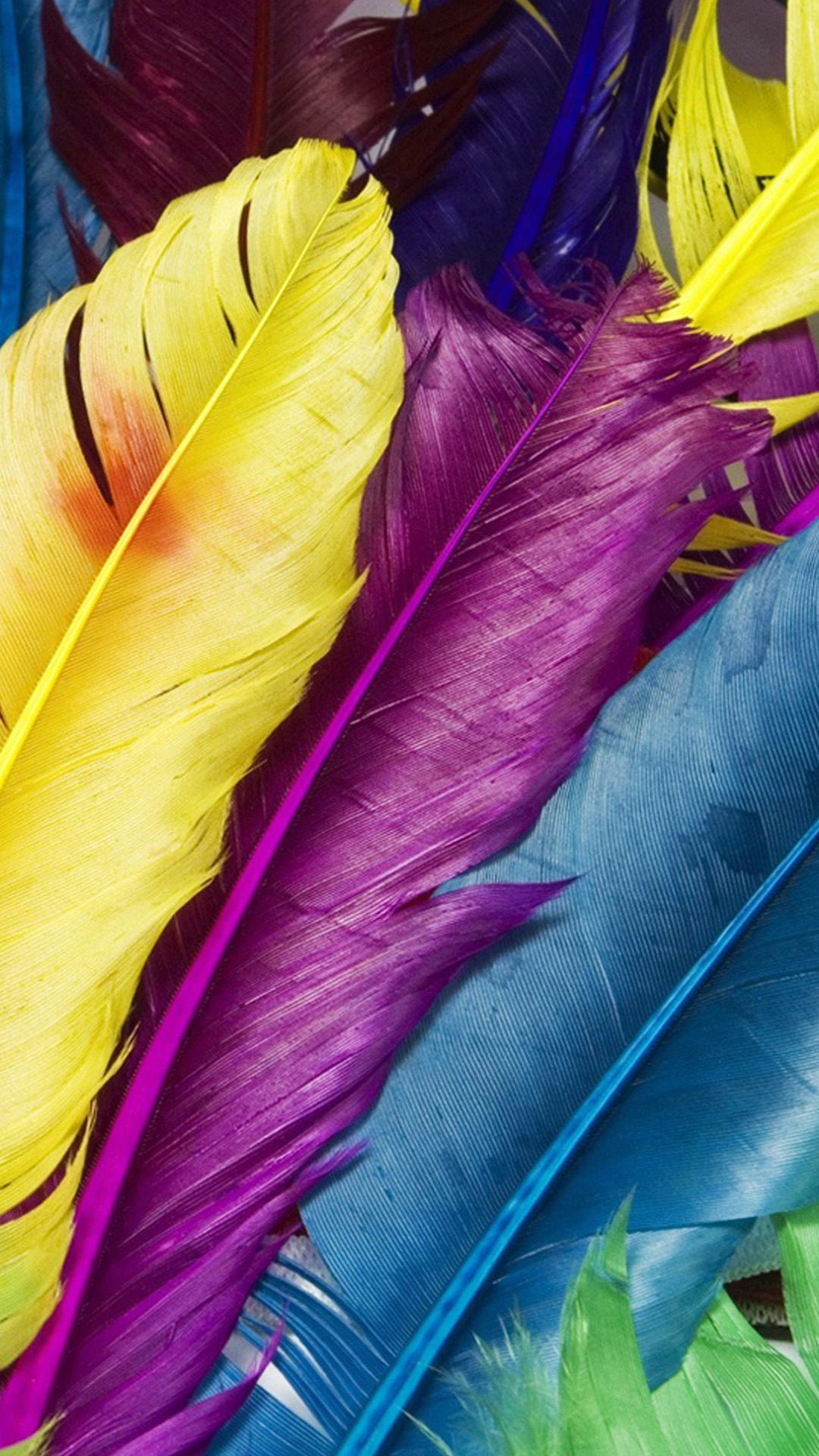 colorful wallpaper for android,feather,purple,yellow,violet,leaf