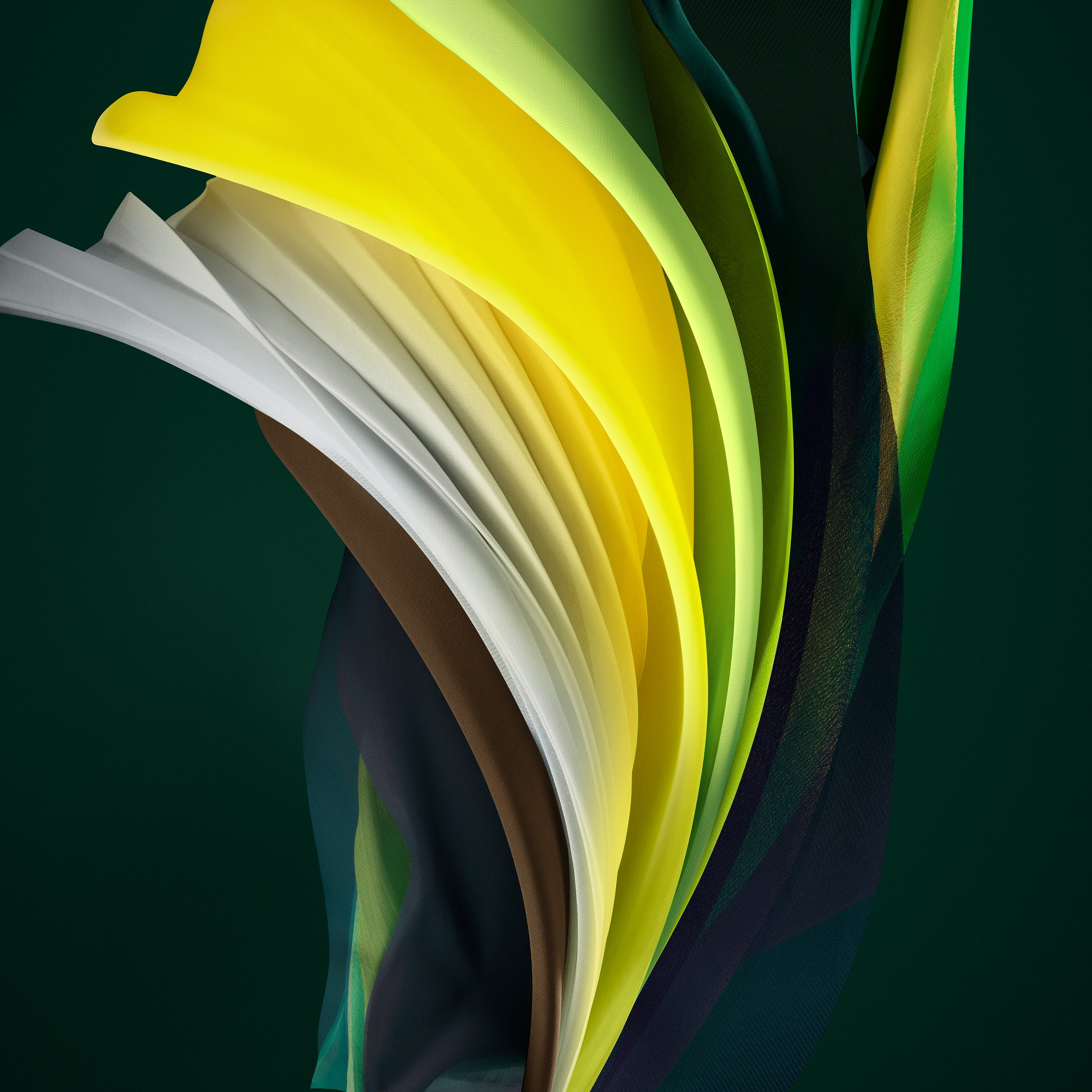 wallpaper se,verde,giallo,avvicinamento,disegno grafico,foglia