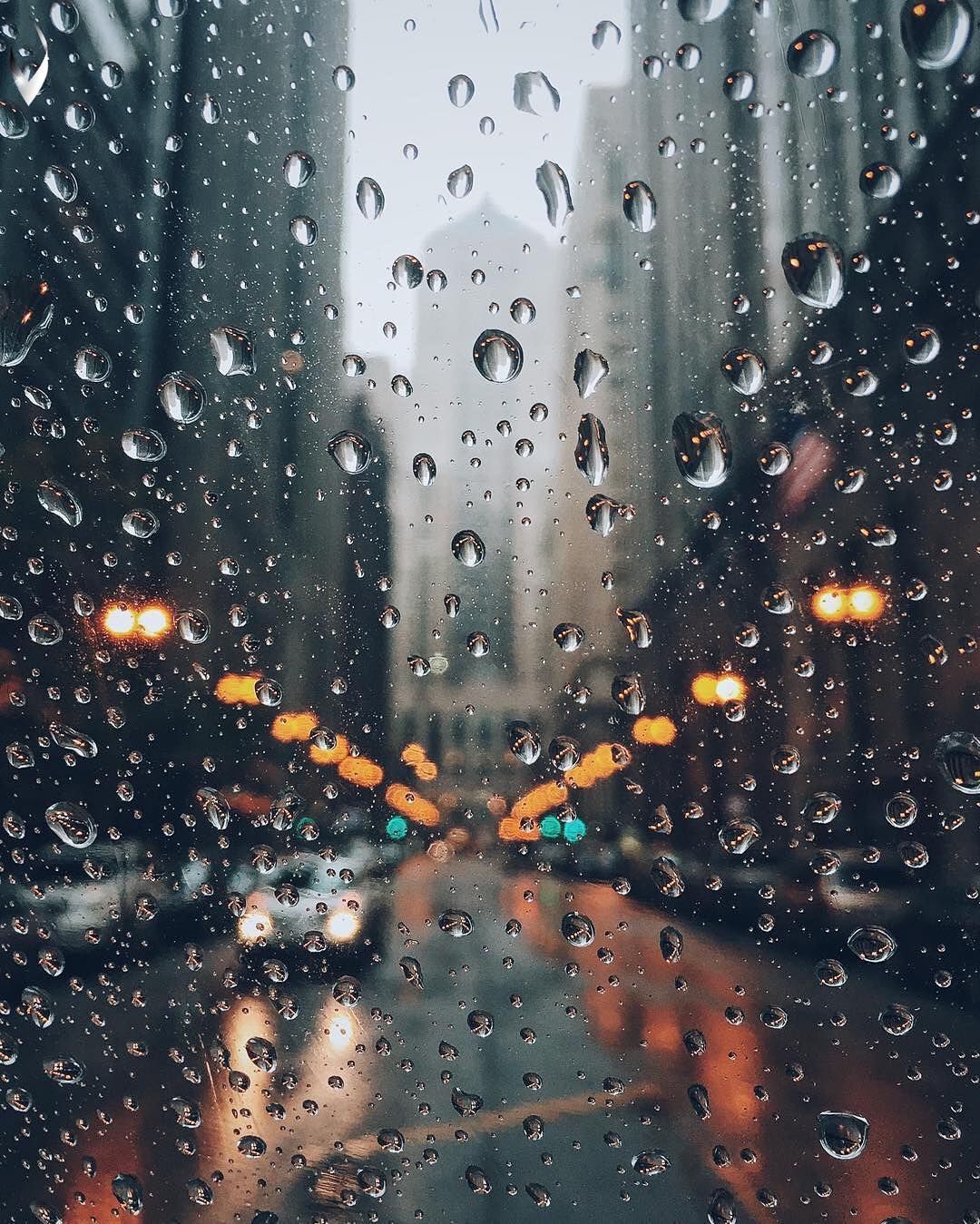 fotos de wallpaper,water,drop,rain,drizzle,precipitation