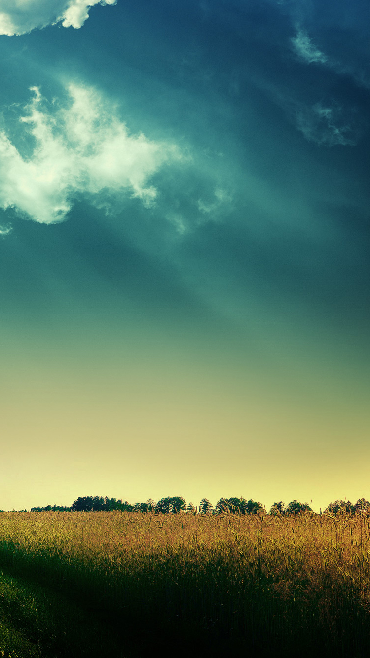 fondos de wallpaper,ciel,paysage naturel,la nature,nuage,vert