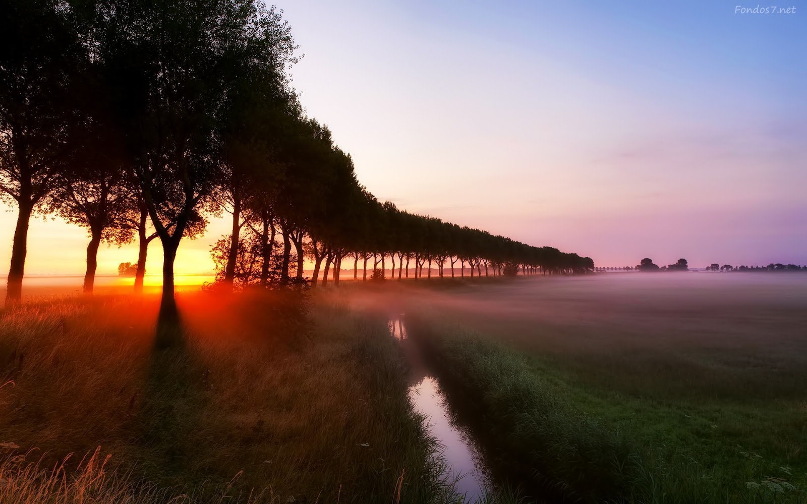 fondos de fondo de pantalla,paisaje natural,naturaleza,cielo,amanecer,mañana