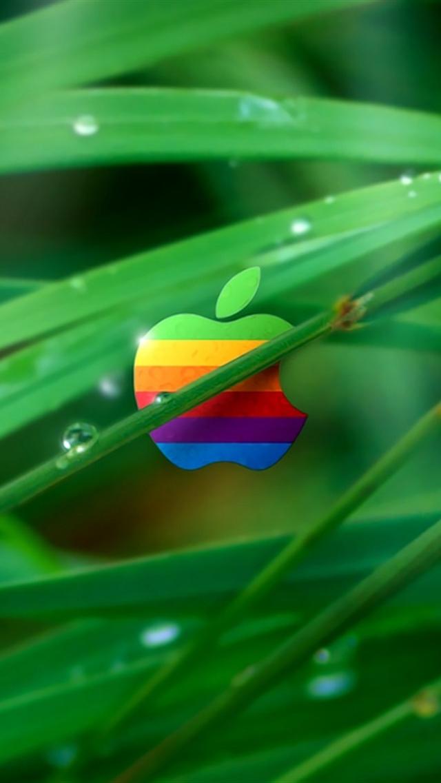 apple iphone 5s wallpaper hd,grün,nahansicht,makrofotografie,wasser,blatt