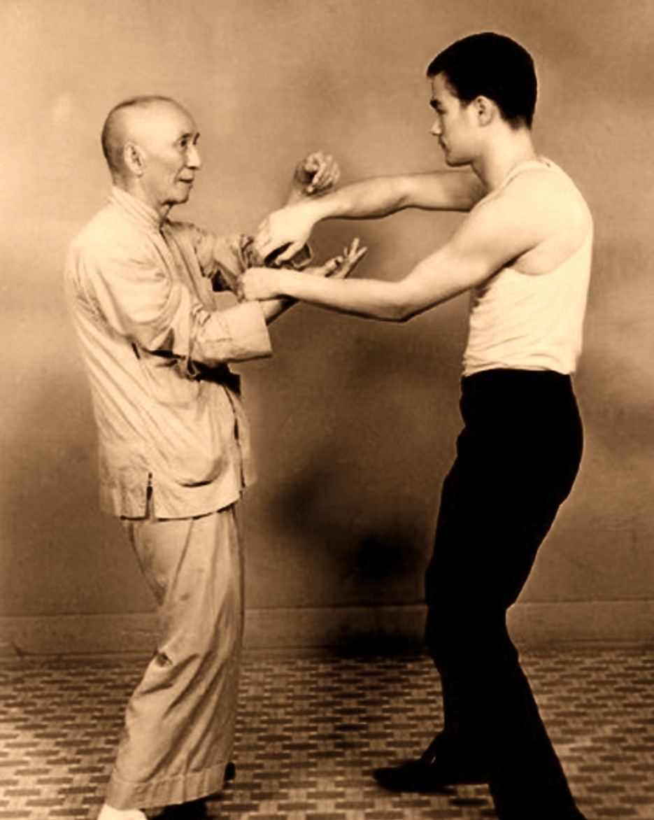 sfondo ip,kung fu,wing chun,gli sport,gru bianca fujian