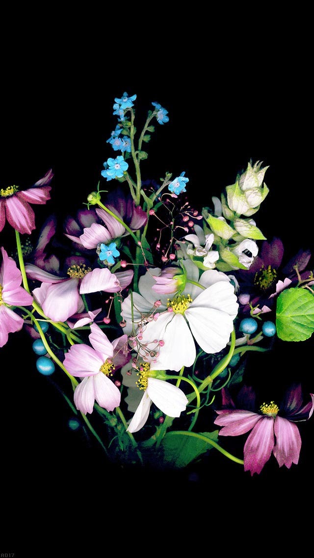 iphone 5sの無料の壁紙,花,開花植物,花弁,工場,花束