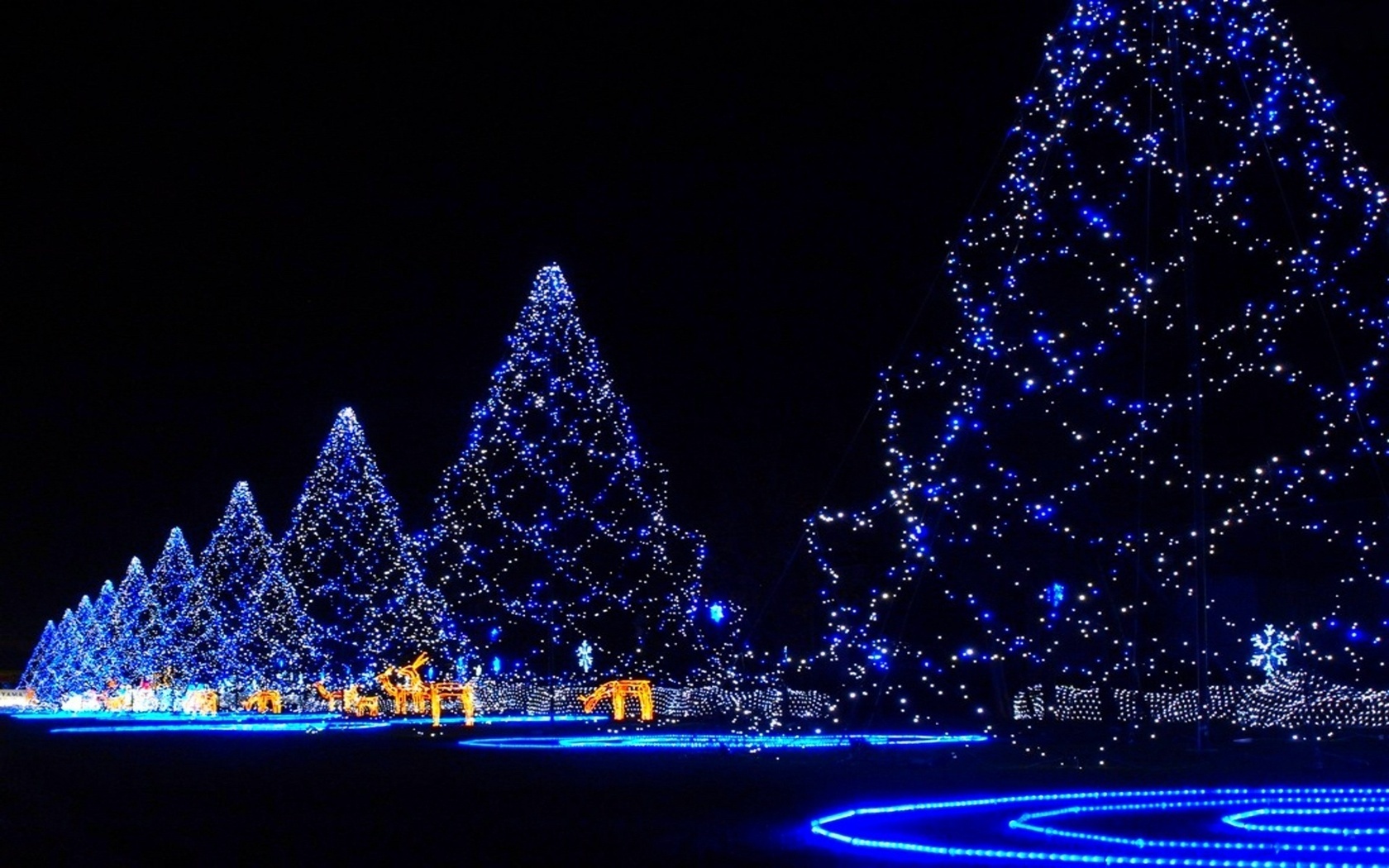 carta da parati weihnachten,decorazione natalizia,blu,luci di natale,albero,leggero