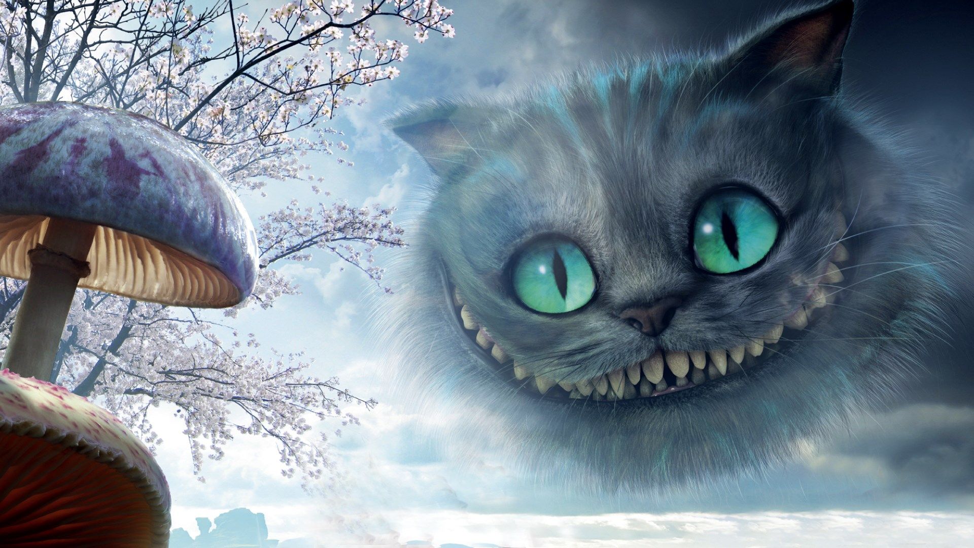 cheshire cat wallpaper,katze,felidae,kleine bis mittelgroße katzen,schnurrhaare,auge