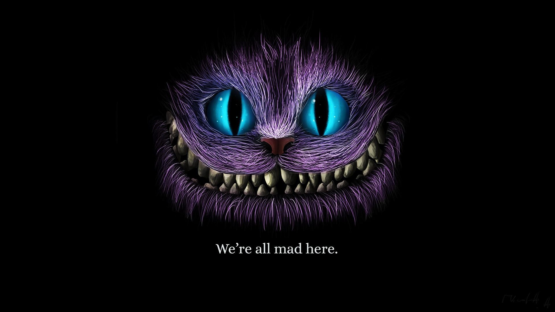 cheshire cat wallpaper,lila,feder,dunkelheit,grafikdesign,violett