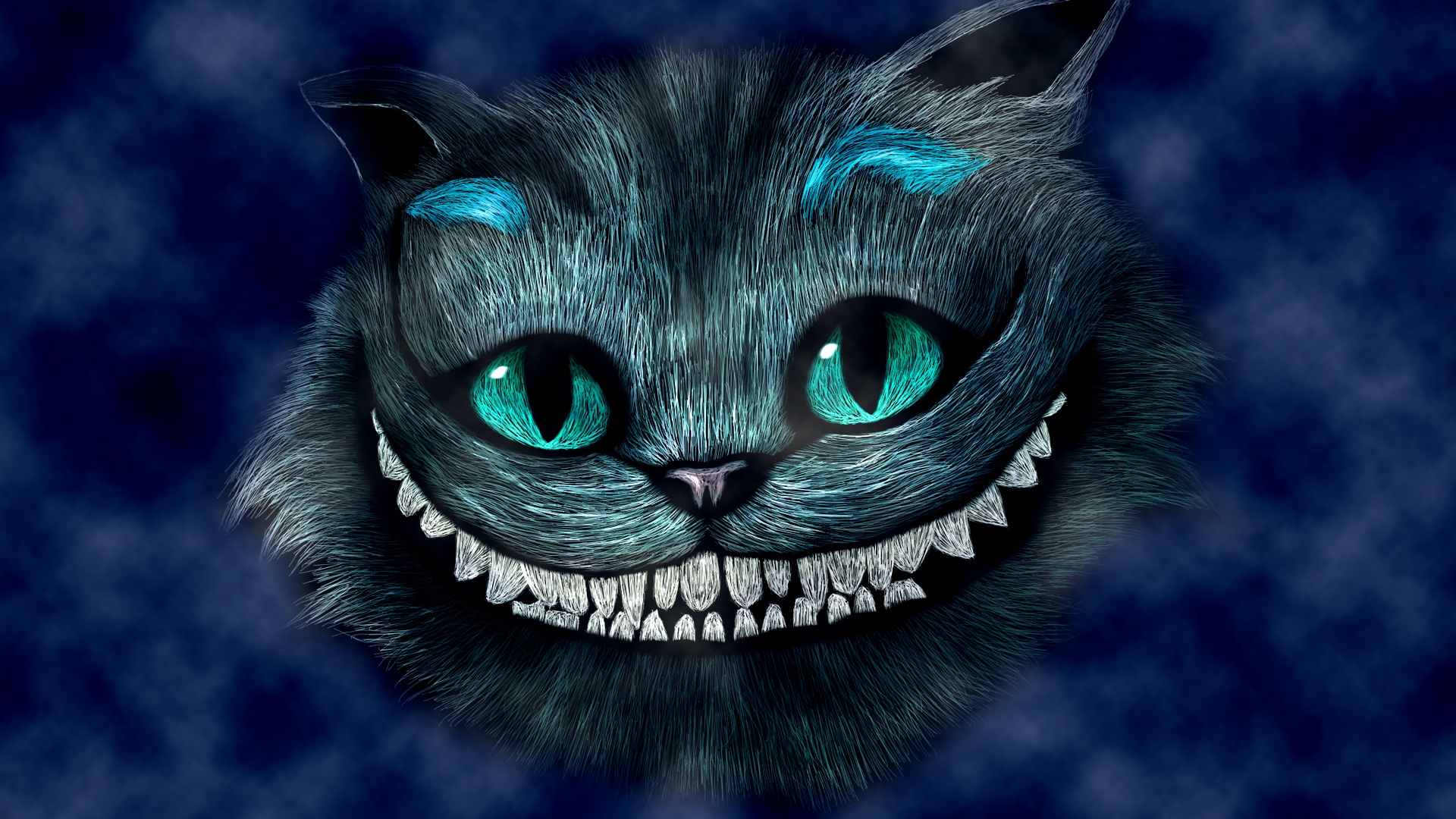 cheshire cat wallpaper,katze,schwarze katze,blau,schnurrhaare,felidae
