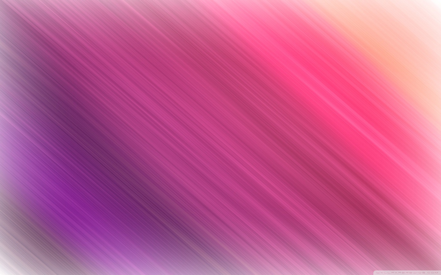 fondo de pantalla,rosado,violeta,púrpura,rojo,lila