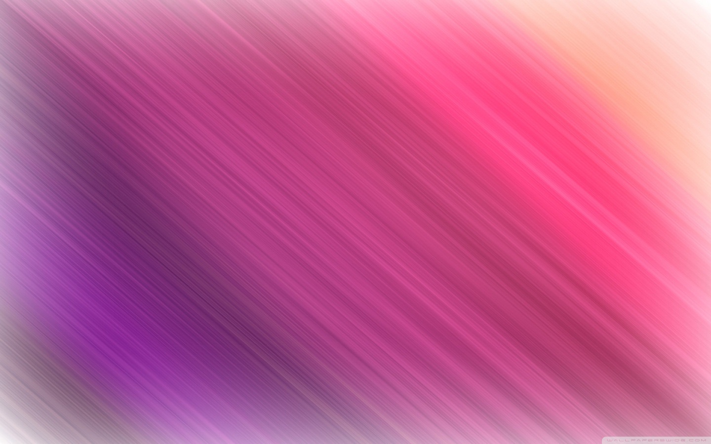 wallpaper สวย ๆ,pink,violet,purple,magenta,red