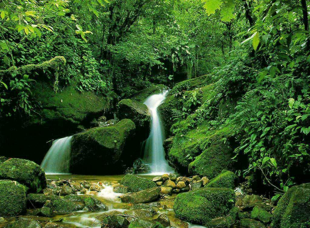 壁紙,水資源,水域,自然の風景,自然,滝