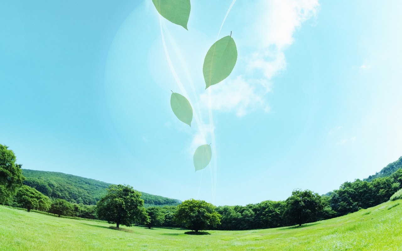 sfondo,verde,cielo,natura,paesaggio naturale,giorno