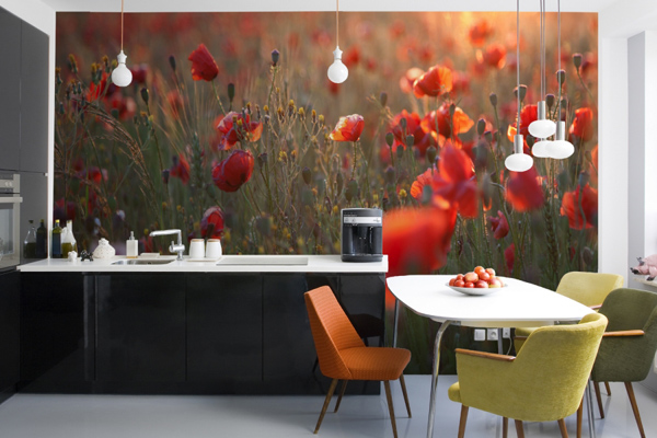 벽지,빨간,방,주황색,인테리어 디자인,특성