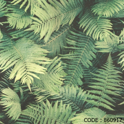 wallpaper ติด ผนัง,terrestrial plant,plant,vegetation,ferns and horsetails,vascular plant