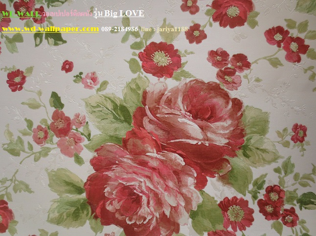 wallpaper ติด ผนัง,pink,garden roses,rosa × centifolia,flower,rose