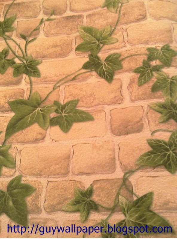 wallpaper ติด ผนัง,leaf,plant,flower,jiaogulan,ivy