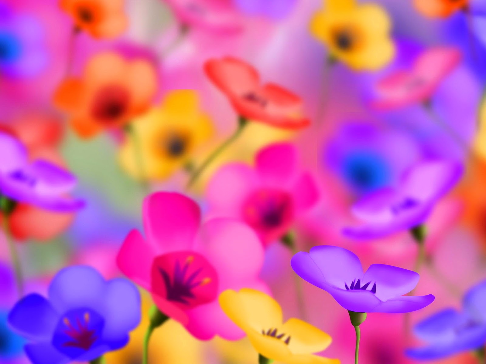 beautiful flowers wallpapers for mobile,petal,flower,violet,purple,plant