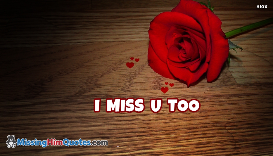 miss u wallpaper for boyfriend,red,rose,text,garden roses,petal