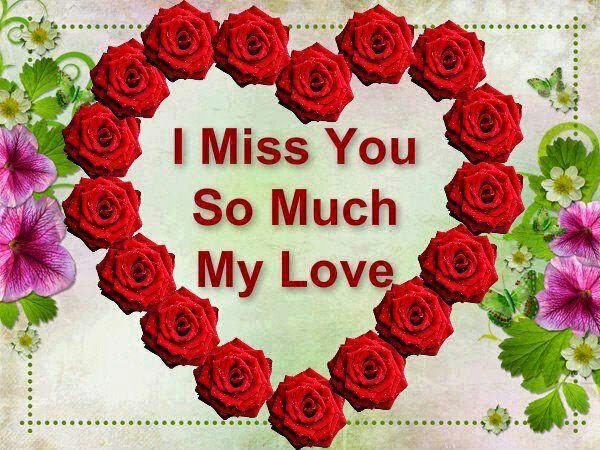 miss u wallpaper for boyfriend,garden roses,rose,valentine's day,flower,plant