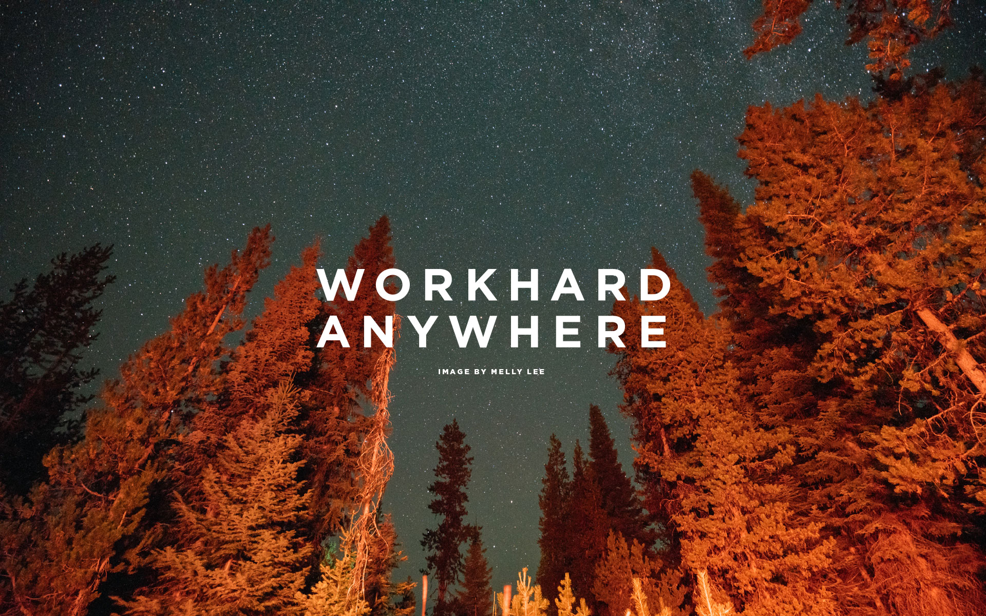 work hard anywhere wallpaper,nature,tree,natural landscape,biome,sky