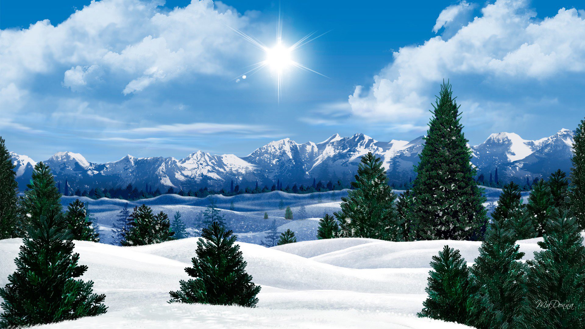 雪の壁紙のhd,雪,空,自然,冬,木