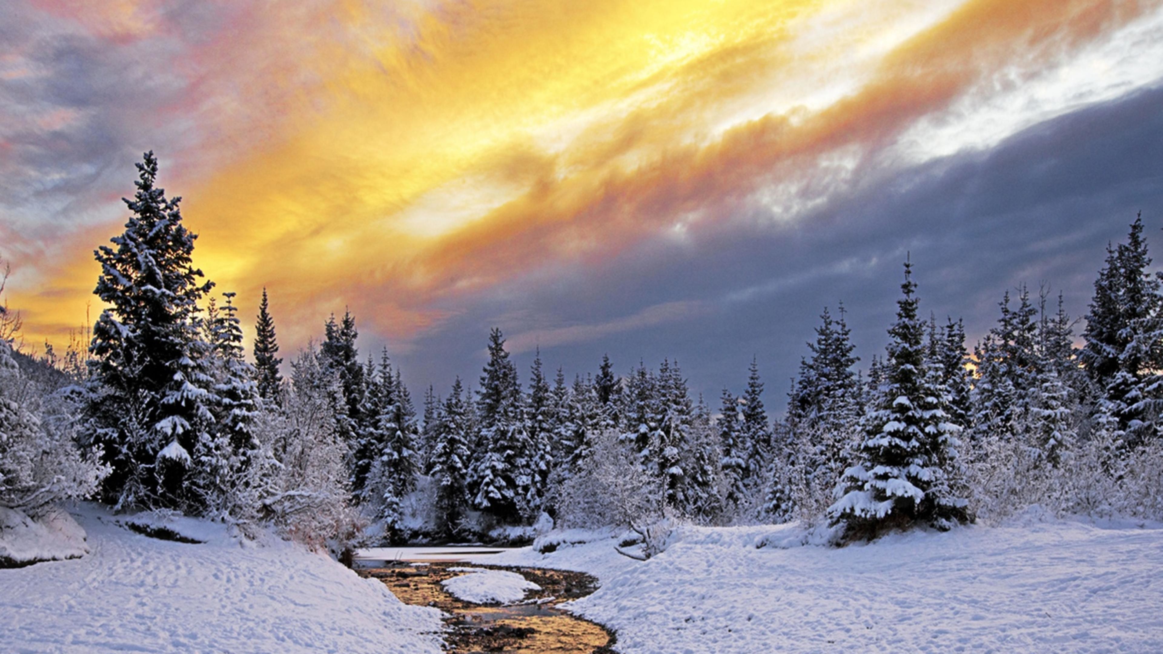 雪の壁紙のhd,雪,冬,空,自然,自然の風景
