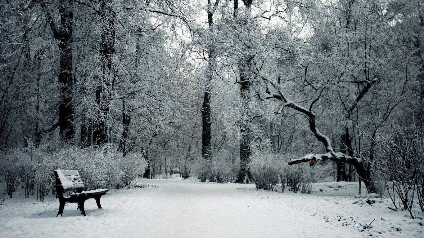 雪の壁紙のhd,雪,冬,自然,自然の風景,木