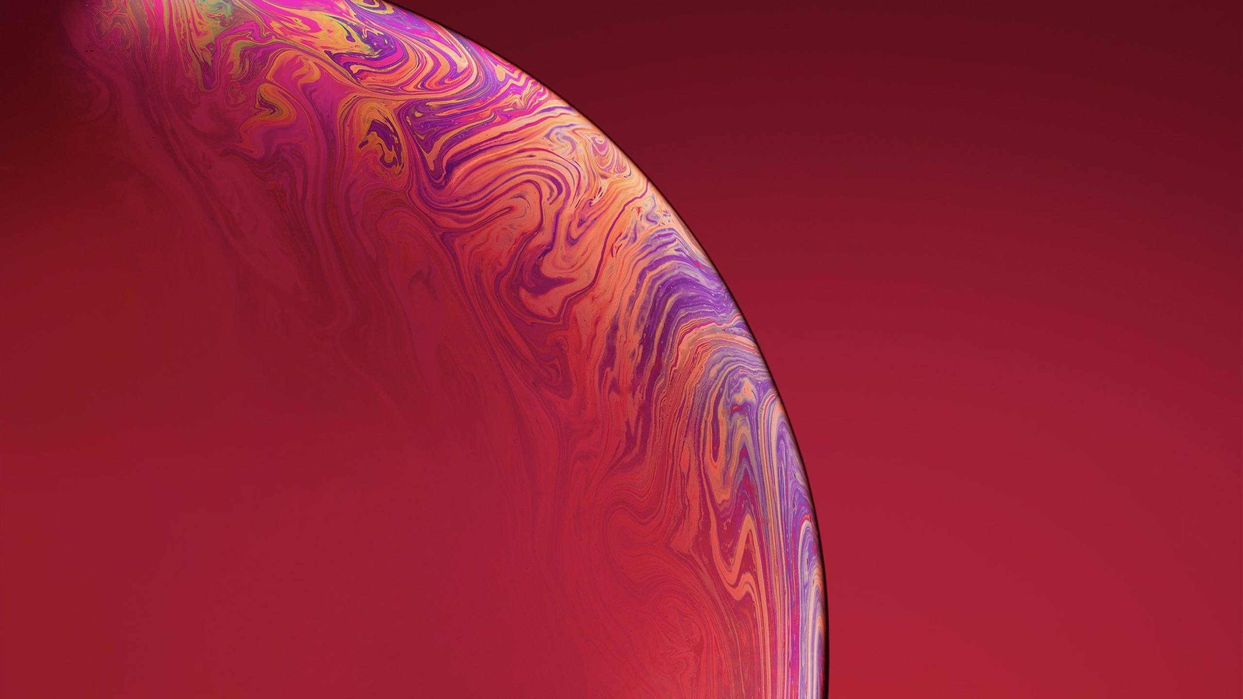 240x3の壁紙 赤 オレンジ 紫の 閉じる マクロ撮影 Wallpaperuse
