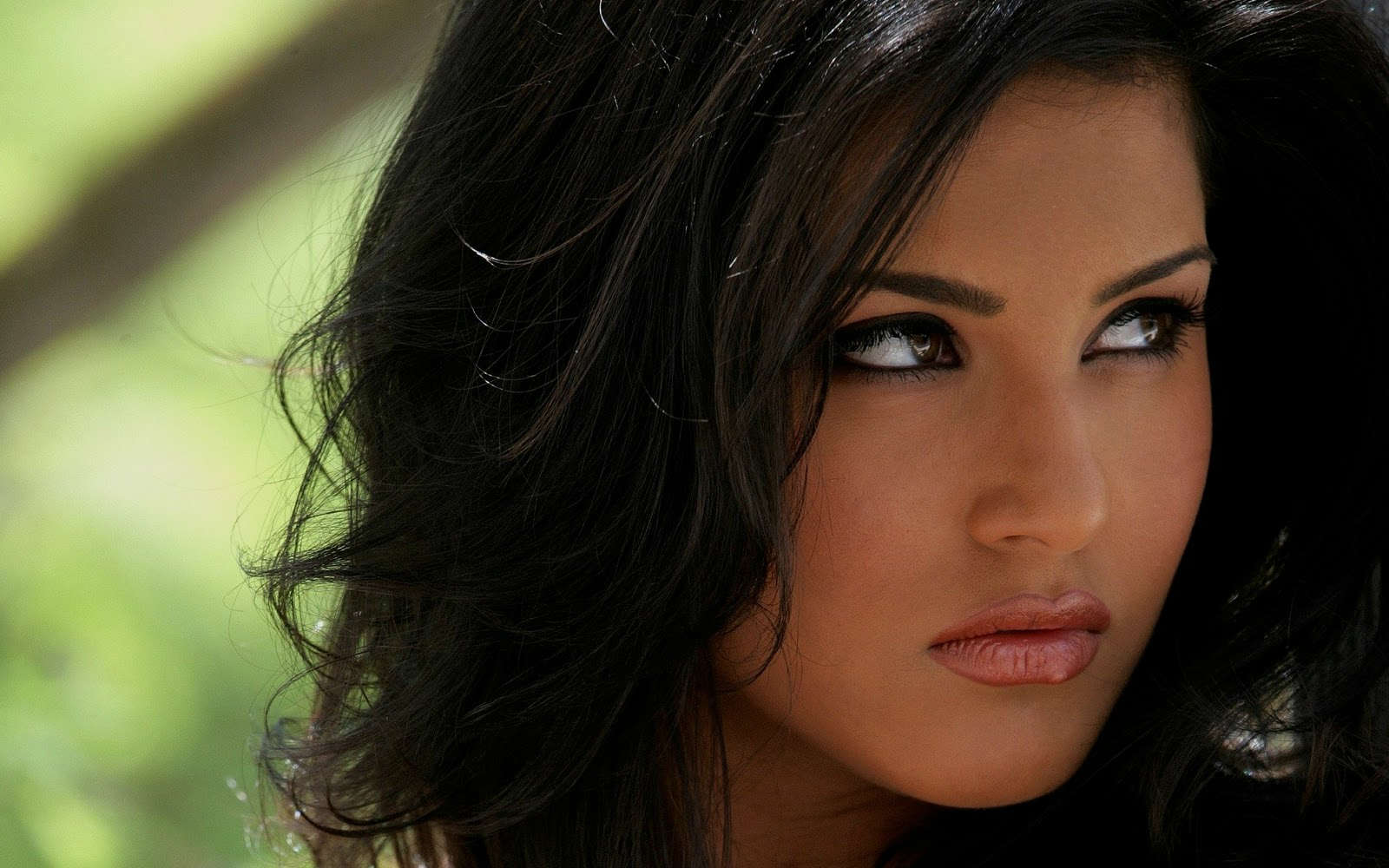 sunny leone full hd wallpaper,haar,gesicht,augenbraue,lippe,schwarzes haar