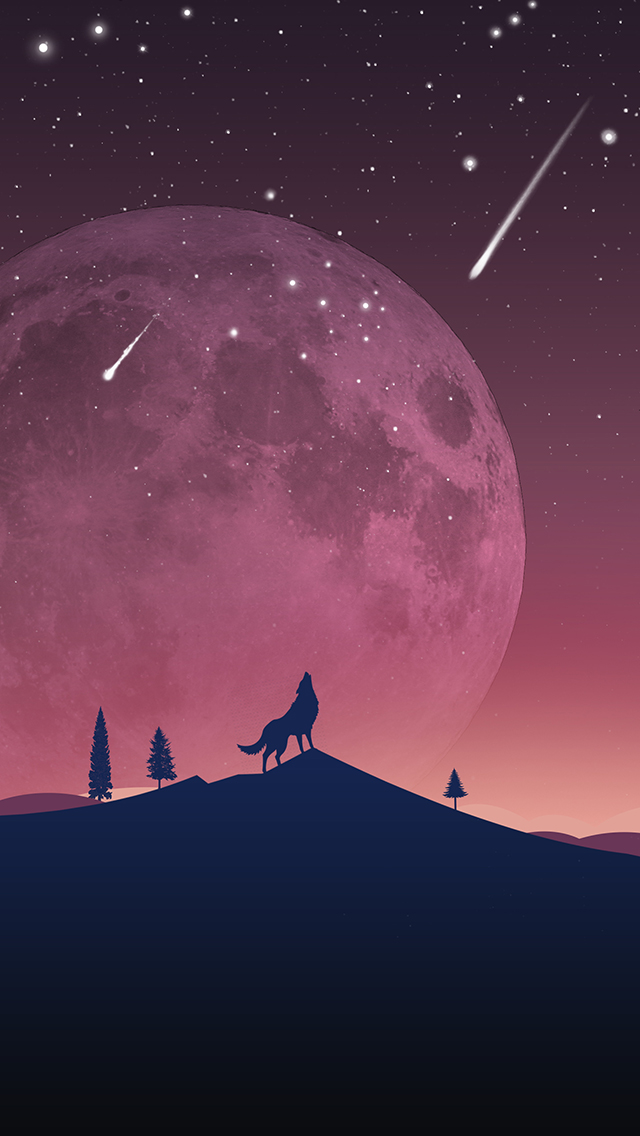 fond d'écran de téléphone loup,ciel,illustration,lumière,atmosphère,nuit