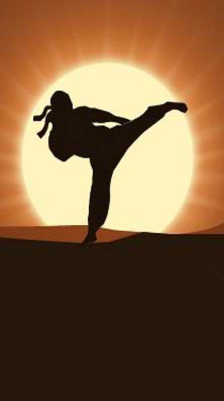 shadow fight wallpaper,capoeira,flip (acrobatic),martial arts,physical fitness,tricking