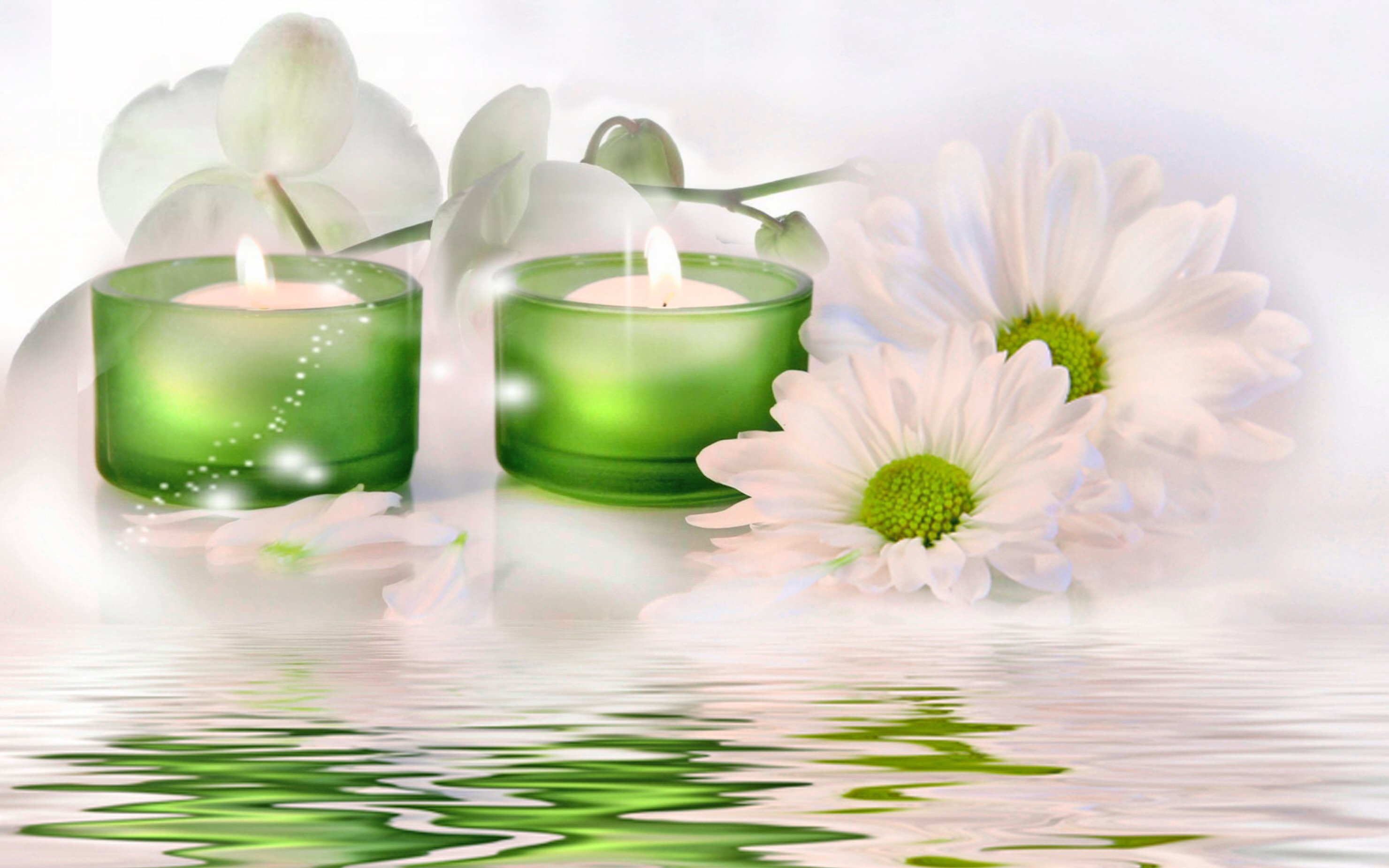 massage wallpaper,green,candle,lighting,plant,flower