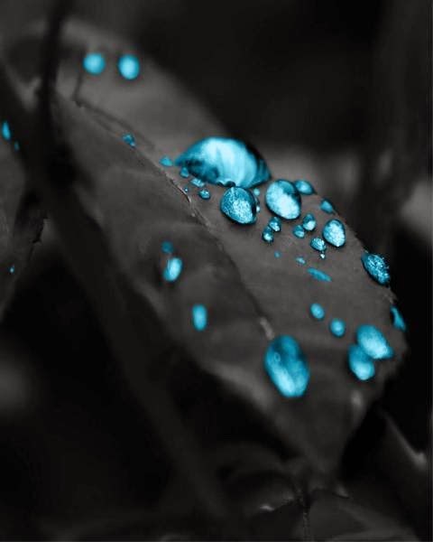 fondo de pantalla para el perfil de whatsapp,azul,agua,turquesa,soltar,fotografía macro