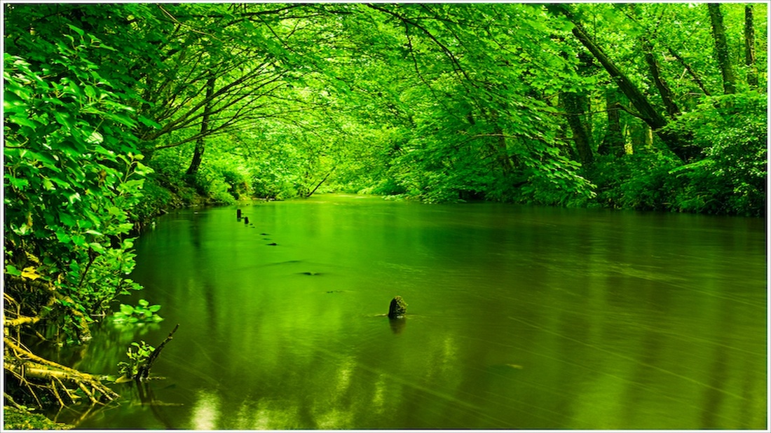 fond d'écran vert full hd,la nature,paysage naturel,vert,plan d'eau,forêt riveraine