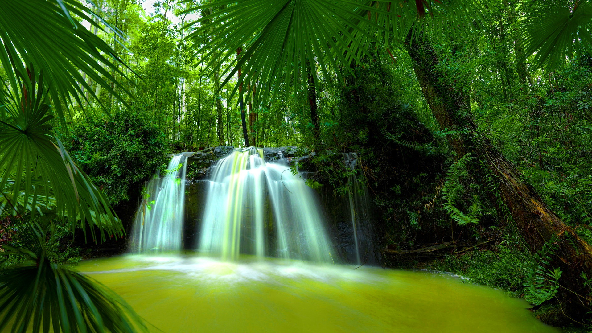 fondo de pantalla verde full hd,recursos hídricos,paisaje natural,naturaleza,cascada,cuerpo de agua