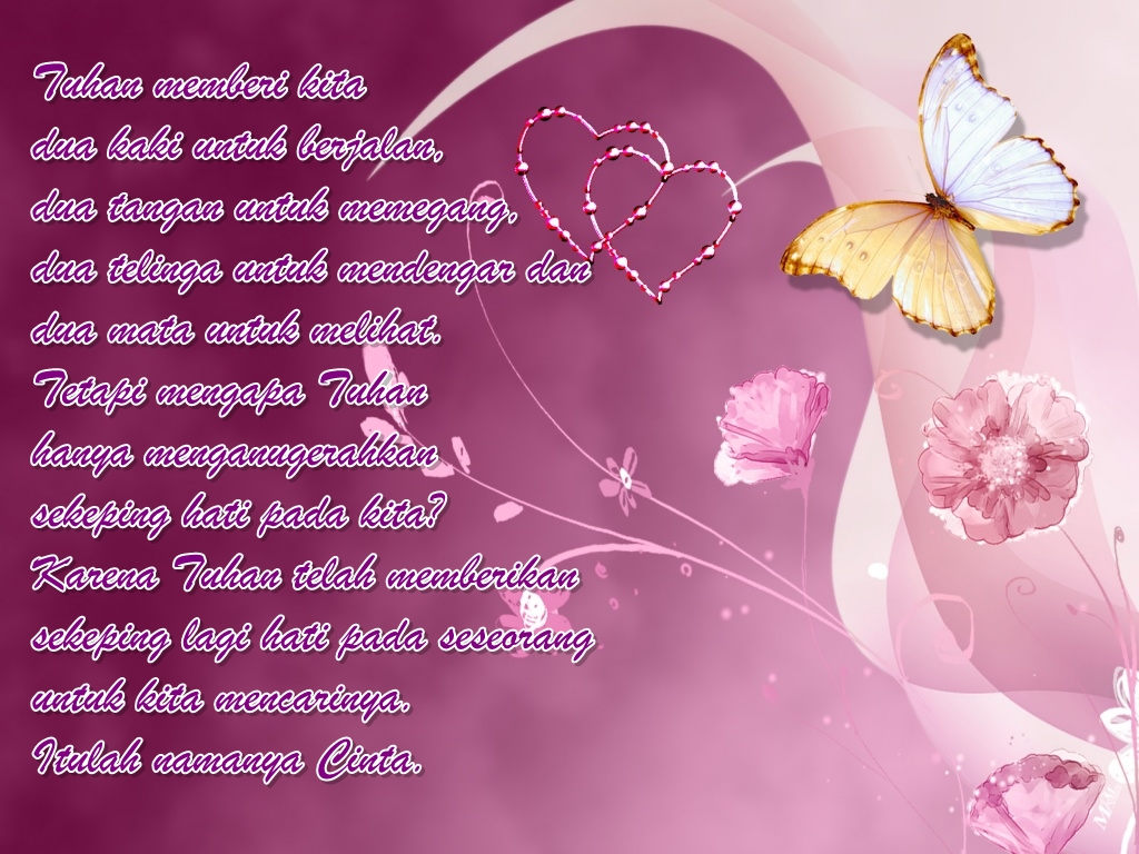 fondos de pantalla kata romantis,texto,mariposa,rosado,polillas y mariposas,amor