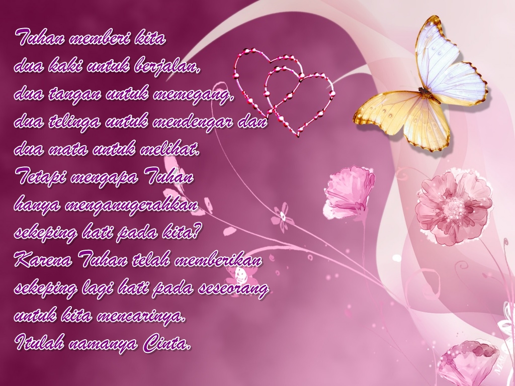 tapete kata romantis,text,schmetterling,rosa,motten und schmetterlinge,liebe